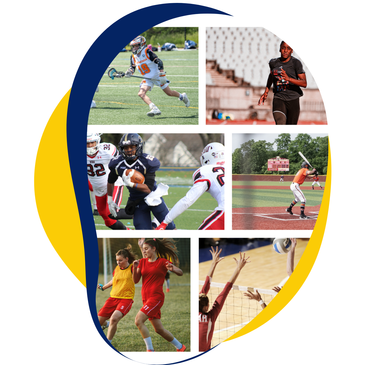 website pics-Dec-17-2025-07-38-08-6625-PM